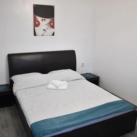 Guest house Casa Dumitru 2