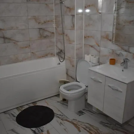 Guest house Casa Dumitru 2 *