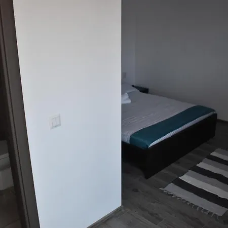 Casa Dumitru 2 Valea Borului