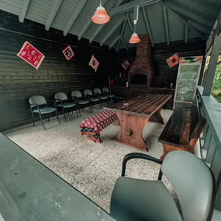 Guest house Casa Dumitru 2